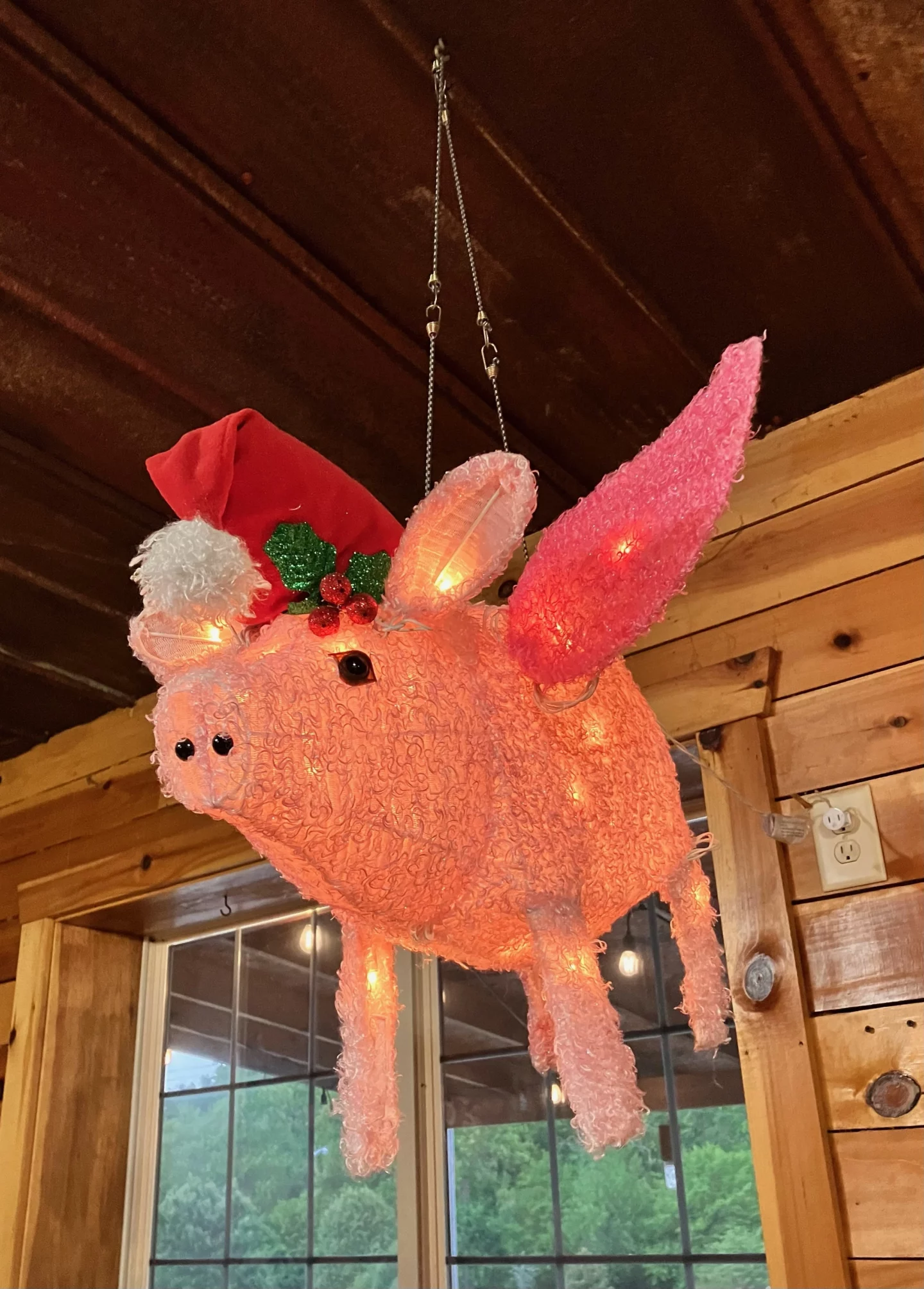 Flying Pig