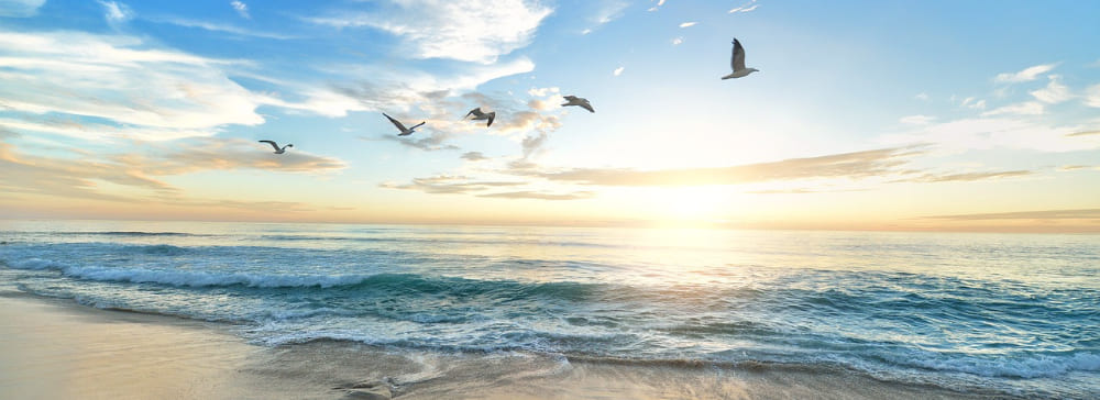 Ocean Sunrise